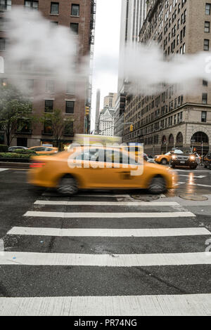 Taxis Rollen durch einen Zebrastreifen an der Ecke Park Avenue und East 57th Street in New York City an einem regnerischen Morgen als Dampf aus einem bläst Entlüftung durch. Stockfoto