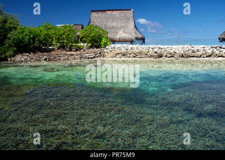 Seichtem Korallenriff, meist Acropora sp. Und typische Mikronesischen Hütte in der Lagune von Pohnpei, Föderierte Staaten von Mikronesien Stockfoto