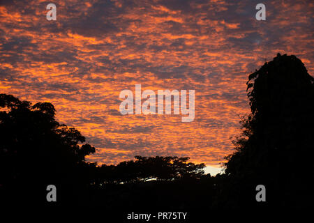 Orange und rosa Wolken bei Sonnenaufgang in Kolonia, Pohnpei, Föderierte Staaten von Mikronesien Stockfoto