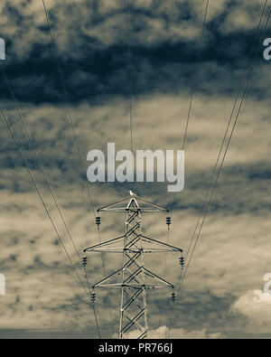 Auf der Suche nach einem die Oberseite eines Strom pylon Stockfoto