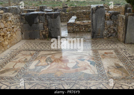 Antiken römischen Ruinen von Volubilis in Marokko mit Mosaiken Stockfoto