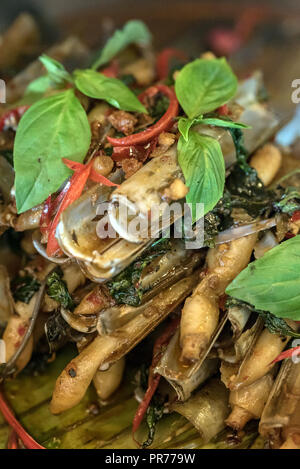 Clam gestochen Schale Solenidae rühren würzig mit Paste und Basilikum Stockfoto