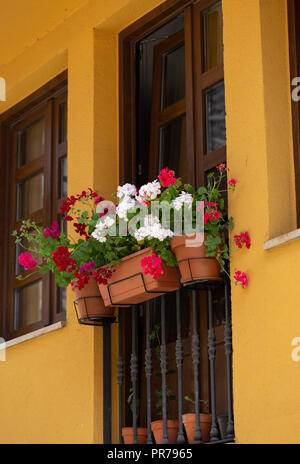 Blumentöpfe in einen Balkon Stockfoto