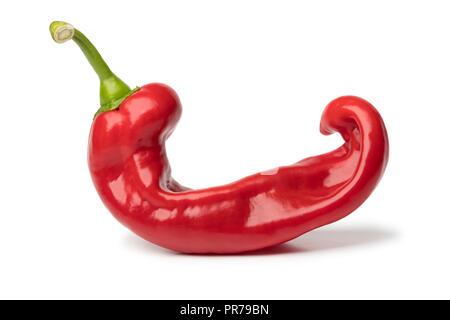Einzelne natürliche geformten organischen rote Paprika frische wies auf weißem Hintergrund Stockfoto