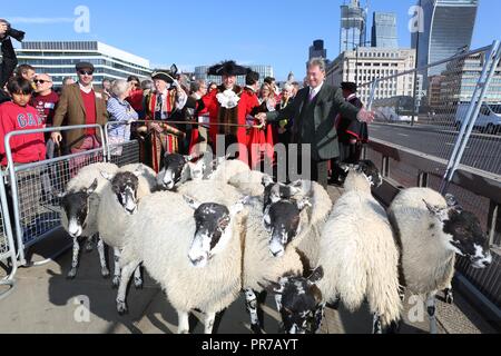 ALAN TITCHMARSH ANTRIEBE SCHAFE 2018 Stockfoto