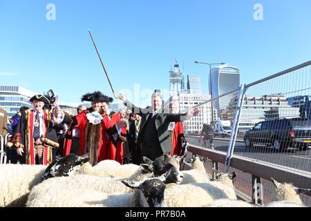 ALAN TITCHMARSH ANTRIEBE SCHAFE 2018 Stockfoto