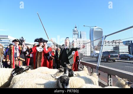 ALAN TITCHMARSH ANTRIEBE SCHAFE 2018 Stockfoto