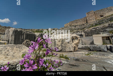 Antike Stadt Milet Didim Stockfoto