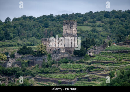 Gutenfels Burg (Burg Gutenfels) in Kaub am Rhein, Deutschland Stockfoto