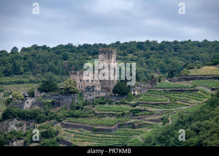 Gutenfels Burg (Burg Gutenfels) in Kaub am Rhein, Deutschland Stockfoto