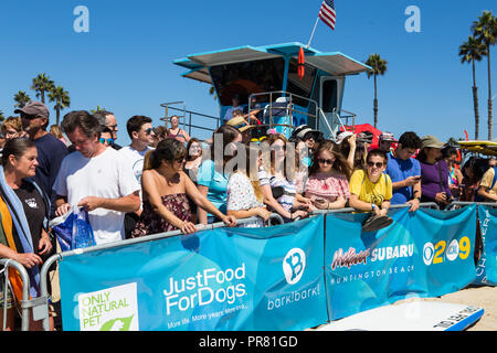 Huntington Beach, CA, USA, 29. September 2009, Hund Strand 2018 war die Lage für die McKenna Subaru Surf City Surf Dog®-Veranstaltung, bei der besten Hunde der Welt für Bellen Rechte, Trophäen und Preise im Die 10. jährliche Surf City Surf Dog® Wettbewerb konkurrierten. Menschenmassen beobachtete die Hunde Credit: Duncan Selby/Alamy leben Nachrichten Stockfoto