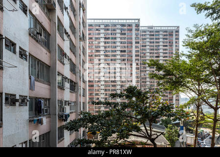 Hong Kong, Hong Kong SAR, China. 29 Sep, 2018. Die dicht besiedelte Choi Wan-Immobilien, East Kowloon Hong Kong. Die hygienischen Zustand der Immobilien hat in Frage gestellt worden, nach der Offenbarung des Weltersten Ratte Variation von Hepatitis E in eine 56-jährige männliche Bewohner fand. Credit: Jayne Russell/ZUMA Draht/Alamy leben Nachrichten Stockfoto