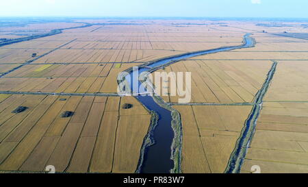 Shijiazhuang, China. 30 Sep, 2018. Luftaufnahme auf Sept. 30, 2018 zeigt Reisfelder bei Laoting Matouying County im US-Bundesstaat im Norden der chinesischen Provinz Hebei. Credit: Mu Yu/Xinhua/Alamy leben Nachrichten Stockfoto