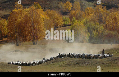 Peking, China. 29 Sep, 2018. Foto auf Sept. 29, 2018 zeigt die Landschaft in Saihanba National Forest Park in Chengde, nördlich der chinesischen Provinz Hebei. Credit: Pan Zhengguang/Xinhua/Alamy leben Nachrichten Stockfoto