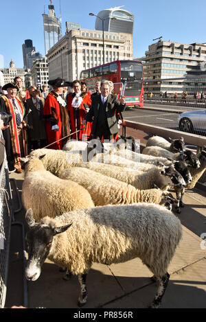 London, Großbritannien. 30. September 2018. TV-Persönlichkeit Alan Titchmarsh treibt die Schafe über die Brücke. Worshipful Company der Woolmen Schafe fahren Sie über London Bridge. Quelle: Matthew Chattle/Alamy leben Nachrichten Stockfoto