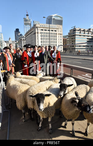 London, Großbritannien. 30. September 2018. TV-Persönlichkeit Alan Titchmarsh treibt die Schafe über die Brücke. Worshipful Company der Woolmen Schafe fahren Sie über London Bridge. Quelle: Matthew Chattle/Alamy leben Nachrichten Stockfoto