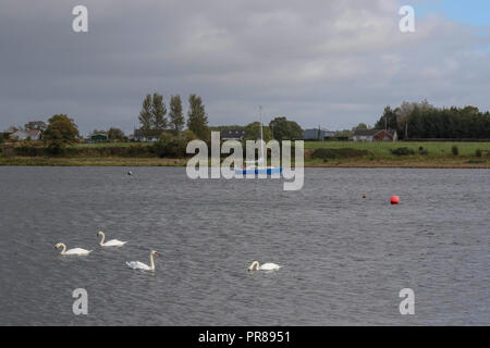 Oxford Insel, Lough Neagh, Nordirland. 30. September 2018. Ein windiger Herbsttag mit einem starken nordwestlicher Wind, Sonnenschein und squally Duschen. Quelle: David Hunter/Alamy Leben Nachrichten. Stockfoto