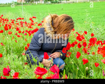 Blondes Haar Frau mit schwarzen Mantel im Herbst riechen eine rote Mohnblüte in ein Feld in Toldeo, Spanien Stockfoto