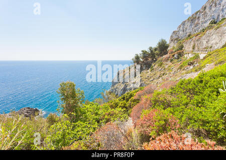 Apulien Leuca, Italien, Grotte von ciolo - Vegetation an der Küste von Grotte Ciolo Stockfoto