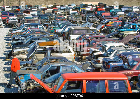 2007-Zeilen von behinderten Autos in einen Junk Yard sitzen, Mann in der Nähe der Rahmen links Stockfoto