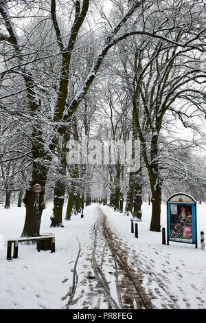 Winter Szene in Cambridge - Christi Stücke. Weg durch die Allee von Linden gesäumt Stockfoto