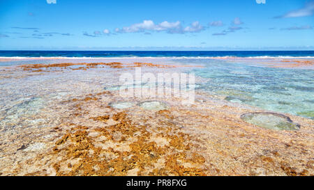 In Polynesien den Felsen der Küste wie Paradies Konzept und Entspannen Stockfoto