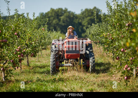 Junge Landwirt Frau, die ihr Traktor und Anhänger durch Apple Orchard Stockfoto