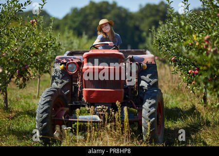 Junge Landwirt Frau, die ihr Traktor und Anhänger durch Apple Orchard Stockfoto