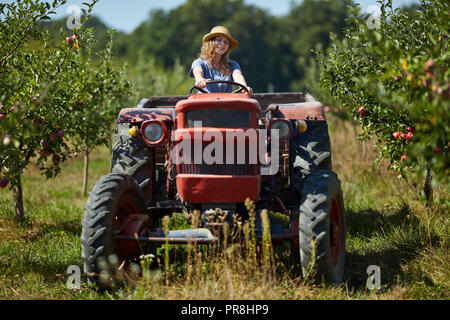 Junge Landwirt Frau, die ihr Traktor und Anhänger durch Apple Orchard Stockfoto