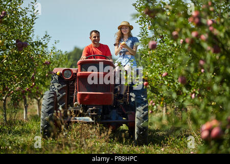 Die Landwirte paar Fahren des Traktors durch Äpfel orchard Stockfoto