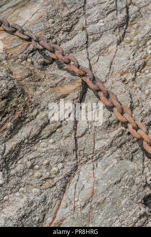 Hafen Szenen rund um Newquay, Cornwall. Rost Liegeplatz Kettenglieder. Metapher starke Verbindungen, stärkste Glied, Schmiede links, enge Beziehungen. Stockfoto