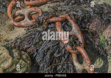 Hafen Szenen rund um Newquay, Cornwall. Sehr große rosten Liegeplatz Kettenglieder. Metapher starke Verbindungen, stärkste Glied, Schmiede links, enge Beziehungen. Stockfoto