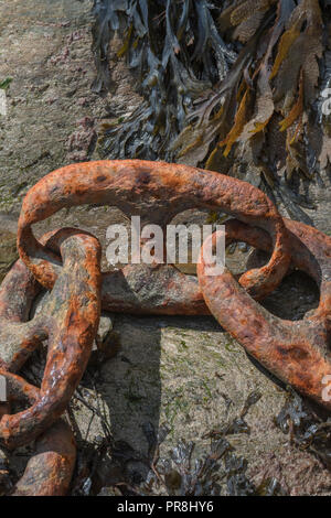 Hafen Szenen rund um Newquay, Cornwall. Sehr große rosten Liegeplatz Kettenglieder. Metapher starke Verbindungen, stärkste Glied, Schmiede links, enge Beziehungen. Stockfoto