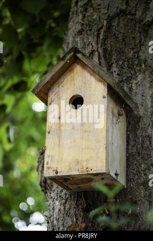 Holz- birdhouse, Tierschutz Detail im Wald Stockfoto