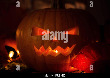 Halloween Kürbisse auf Holz In einem gruseligen Wald bei Nacht, mit unheimlichen hellen Hintergrund Stockfoto