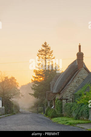 Nebliger Morgen, Fyfield, Oxfordshire Stockfoto