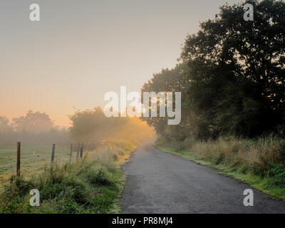 Nebliger Morgen, Fyfield, Oxfordshire Stockfoto