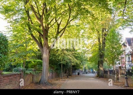 Ein Bild von einem Abschnitt der New Walk, einer Fußgängerzone mit Bäumen gesäumten Promenade, Leicester, England, Großbritannien Stockfoto