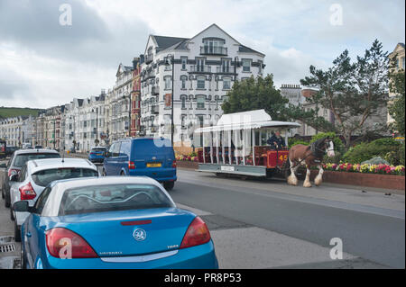 Von Pferden gezogene Straßenbahn, Promenade, Insel Man. Stockfoto