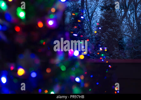 Schnee bedeckt immergrüne Bäume bei Nacht mit Defokussierten Beleuchteter Christbaum im Vordergrund. Weihnachten Hintergrund. Stockfoto