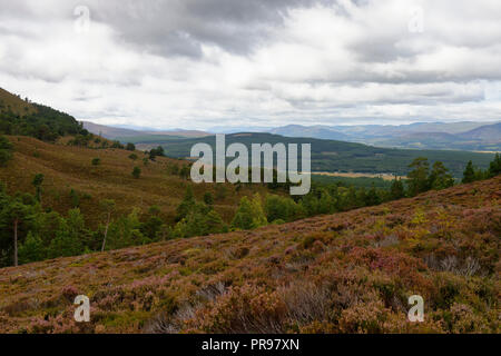 Blick von Osten von Glen Feshie oben Balachroick, über den Fluss Feshie, Insh Marsh in Kingussie & Glen Gynack. Cairngorms, Schottland Stockfoto