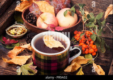 Tasse mit Tee auf eine Herbst Hintergrund Laub, Äpfel in Regen. Herbst noch Leben Stockfoto