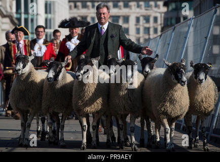 Alan Titchmarsh verbindet mehr als 600 Ehrenbürgern und Frauen der Stadt London, da sie ihren historischen Anspruch nehmen ihre Schafe über London Bridge zu fahren. Stockfoto