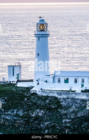 Sonnenuntergang am South Stack Leuchtturm auf Anglesey in Wales - Vereinigtes Königreich Stockfoto