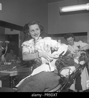 Rasieren im 1940er. Eine junge Frau rasiert einen Mann im Friseur. Sie verwendet einen geraden Rasierer und ist hier abgebildet, während sie sich vorsichtig mit dem Ohr des Mannes rasiert. Schweden 1949. Foto Kristoffersson Ref. AN48-1 Stockfoto