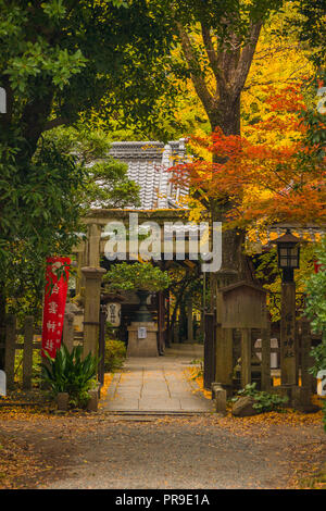 Herbst Blick auf Shirakumo Schrein Eingang in Kyoto Imperial Park Stockfoto
