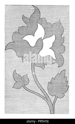 19 Abbildung: ein Design für eingelegte arbeiten. In "Die praktische Zeitschrift, eine Illustrierte Cyclopedia von Industrial News, Erfindungen veröffentlicht. Stockfoto