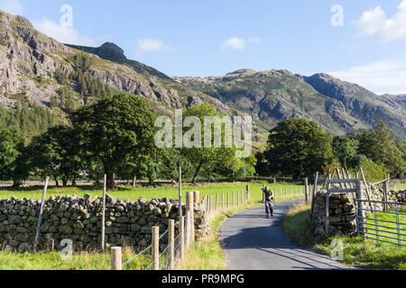 Eine hillwalker Wandern im Great Langdale am Fuße des Langdale Pikes im Lake District, Cumbria, England. Stockfoto