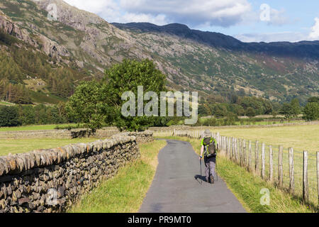 Eine hillwalker Rückkehr in Great Langdale Valley am Fuße des Langdale Pikes im Lake District, Cumbria, England. Stockfoto