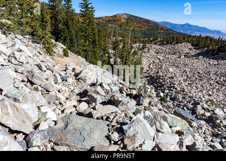 Blick vom Bristlecone Trail im Great Basin National Park Stockfoto